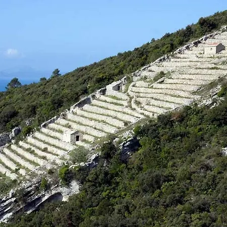 Mario Appartement Zrnovo