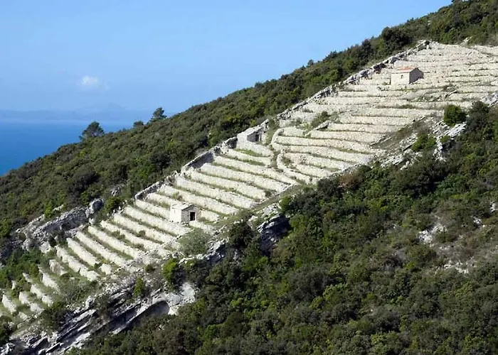 Mario 아파트 Zrnovo